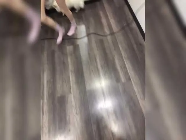 -Megalodon1- Image 4