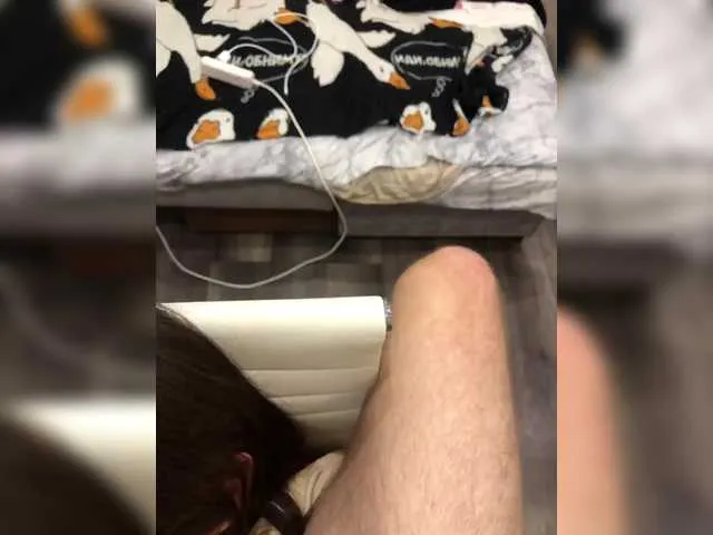 -Megalodon1- Image 9