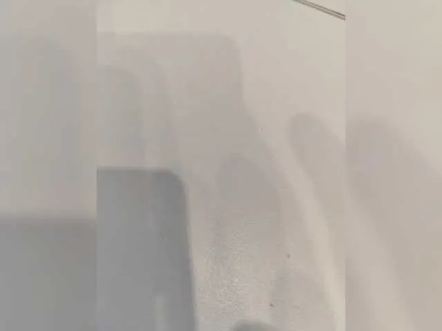 Promes1k19922 Image 4