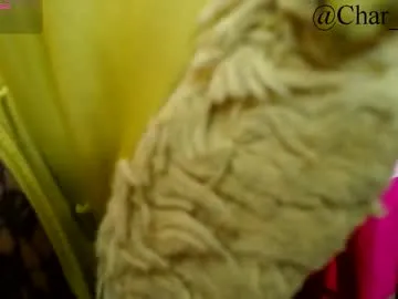 charlotte_jones__1 Image 16