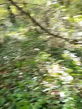 erotica_eva Image 16