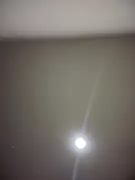 MichelleFerry_ Image 18