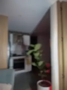 SaraFerreira Image 7